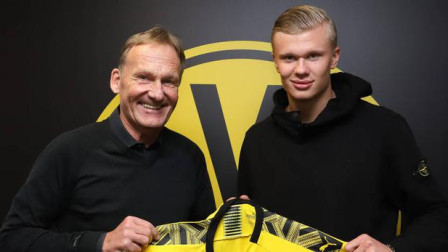 当中卫横传 当中卫横传